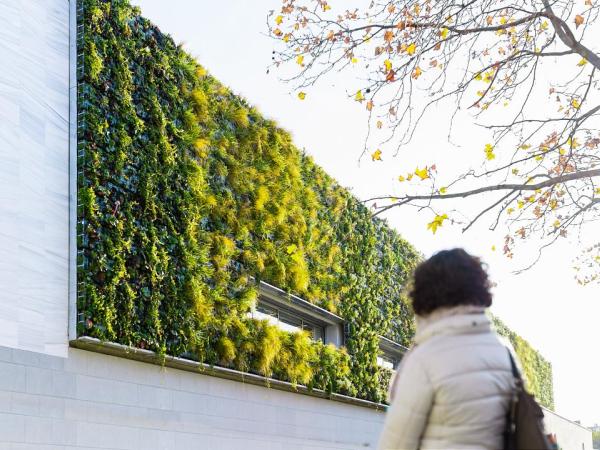 Apostem per renaturalitzar la ciutat amb accions innovadores, convertint les façanes i taulades en espais verds